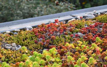 the cost of Broughton In Furness green roof installation