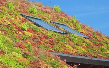 Broughton In Furness living roof systems