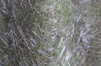 Broughton In Furness fibreglass roof work